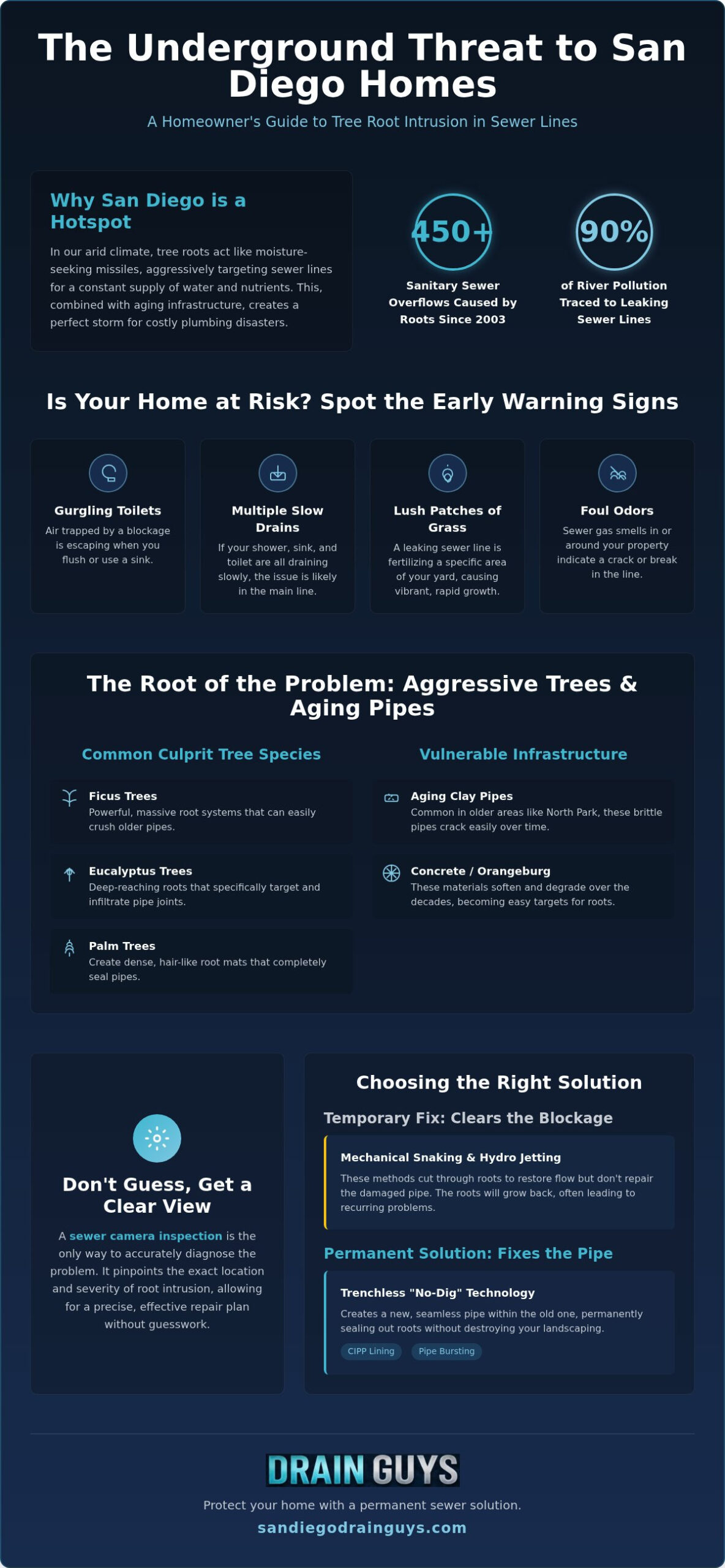 Tree Roots in Sewer Line San Diego: Identification & Permanent Fixes (2026)